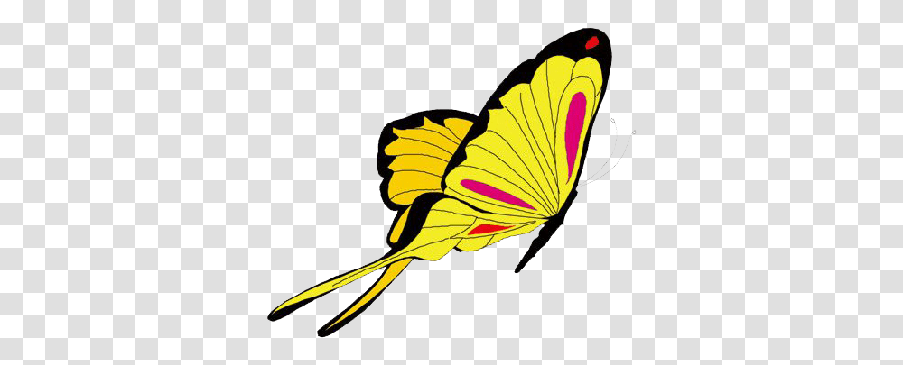 Animated Butterfly Picture Butterfly Animation, Animal, Insect, Invertebrate, Bird Transparent Png