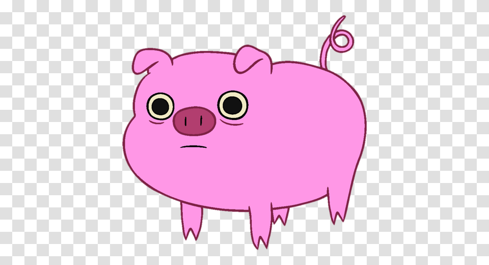 Animated Cartoonpig559144png Clipartsco Adventure Time Pig, Mammal, Animal, Hog, Piggy Bank Transparent Png