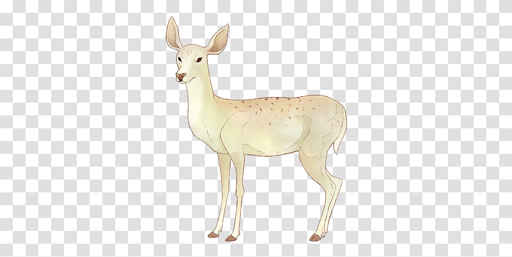 Animated Doe Character Pepperish Studio Animations, Deer, Wildlife, Mammal, Animal Transparent Png