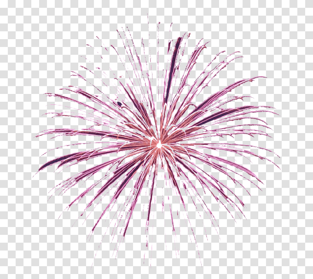 Animated Fireworks Background Image Animated Fireworks Gif, Nature, Outdoors, Plant, Night Transparent Png