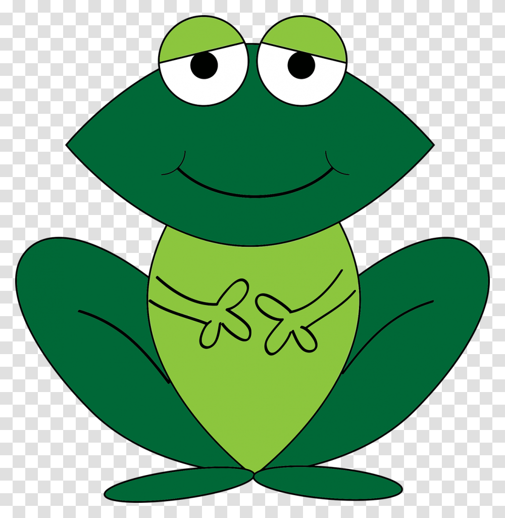 Animated Frog No Background, Amphibian, Wildlife, Animal Transparent Png