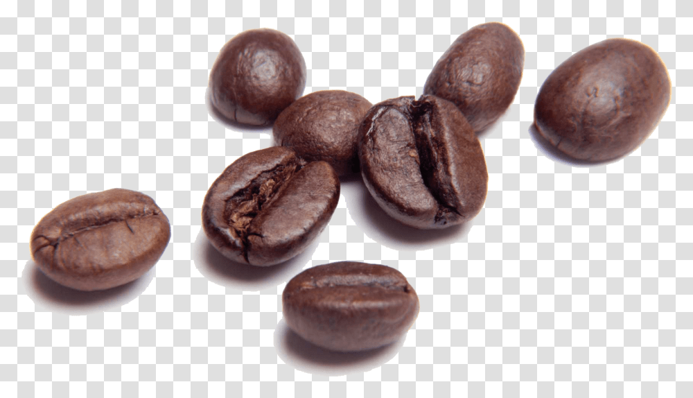 Animated Gif Coffee Bean Gif, Plant, Fungus, Food, Vegetable Transparent Png