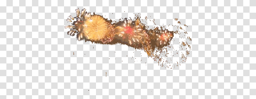 Animated Gif For Avid And Pinnacle Studio Gun Shot Gif, Nature, Outdoors, Fireworks, Night Transparent Png