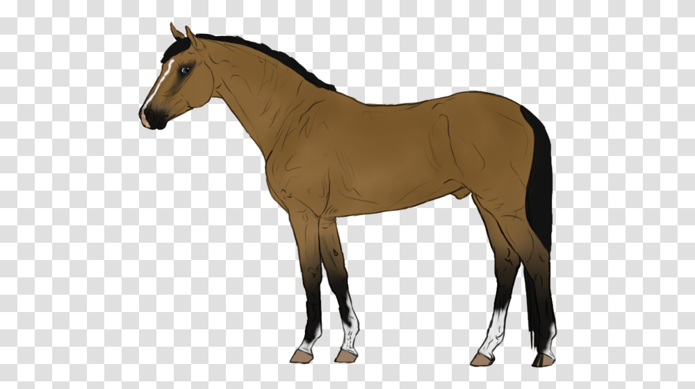 Animated Horse Background Cartoon Horse Background, Mammal, Animal, Foal, Donkey Transparent Png