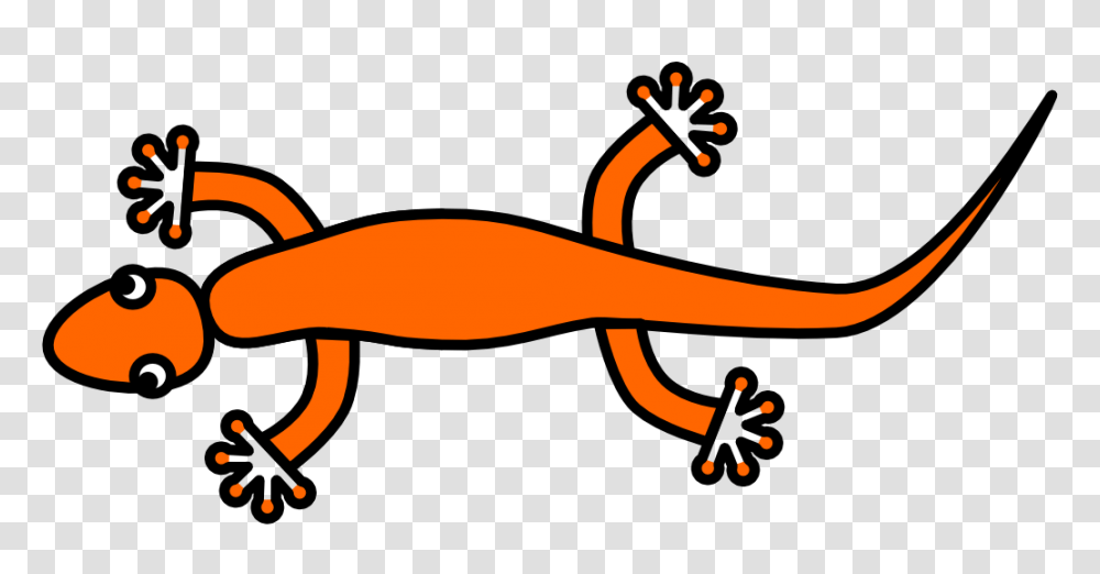 Animated Image Image, Animal, Salamander, Amphibian, Wildlife Transparent Png