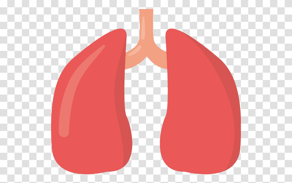 Animated Lungs Image Arts Animated Lungs, Plant, Cushion, Food, Mouth Transparent Png