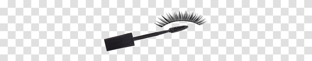 Animated Makeup Brush, Tool, Toothbrush, Darts, Game Transparent Png