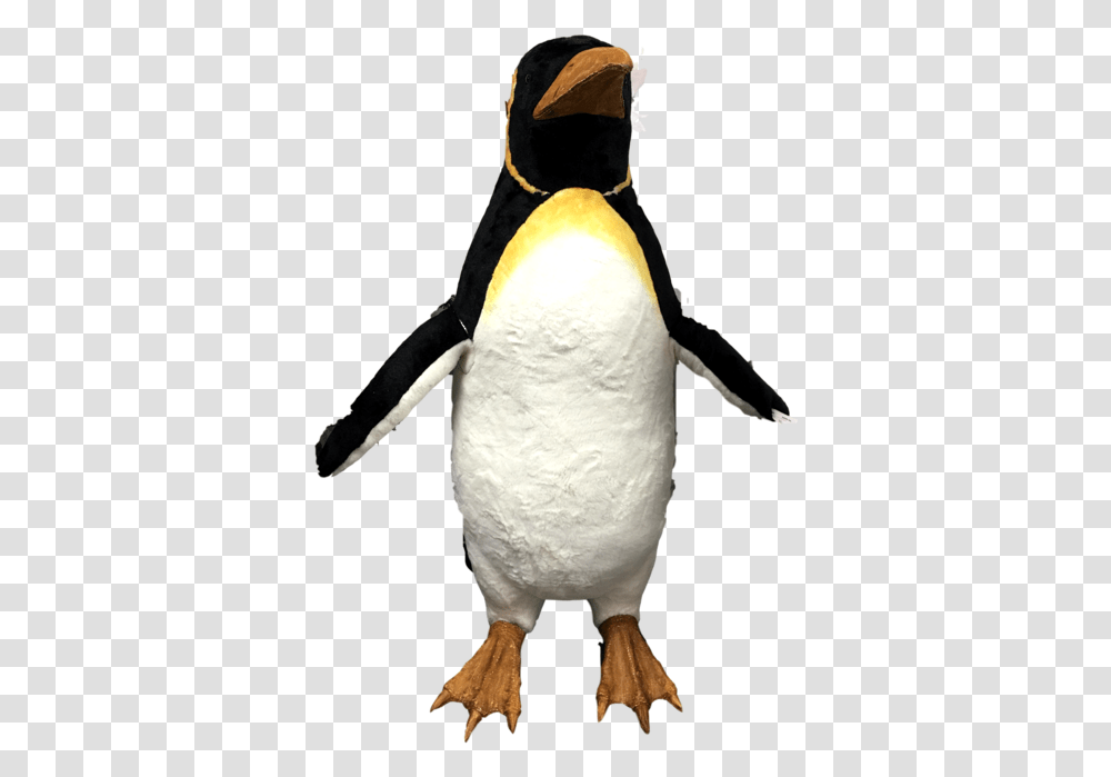 Animated Music Male Penguin Wfins Moving, Bird, Animal, King Penguin, Beak Transparent Png