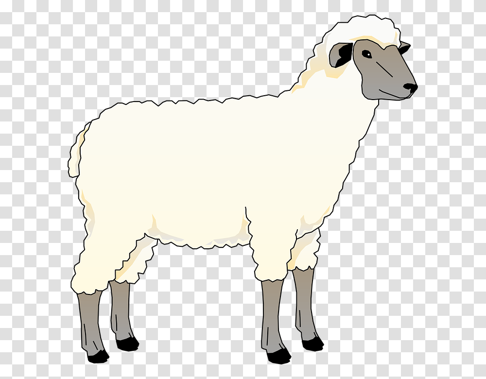 Animated Picture Of Sheep, Mammal, Animal, Goat, Mountain Goat Transparent Png