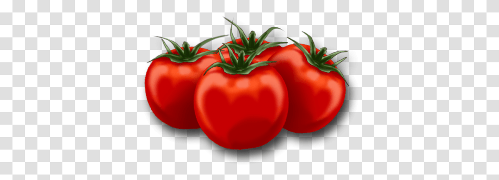 Animated Picture Of Tomatoes, Plant, Vegetable, Food Transparent Png