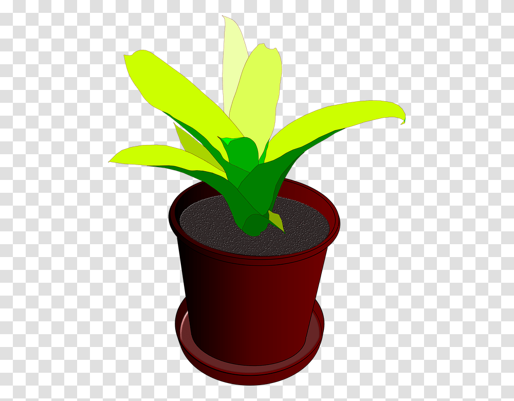 Animated Plant In Pot, Leaf, Banana, Fruit, Food Transparent Png