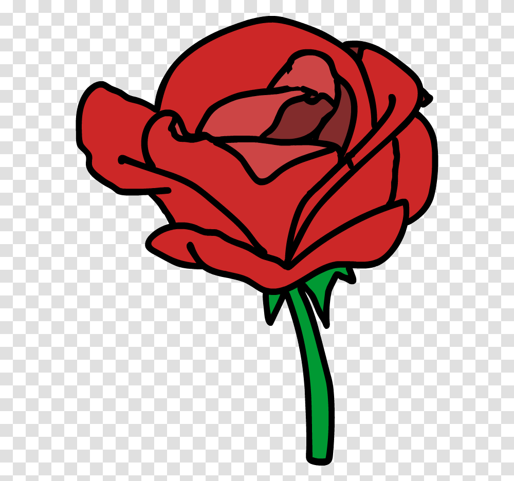 Animated Rose Gif, Flower, Plant, Blossom, Petal Transparent Png