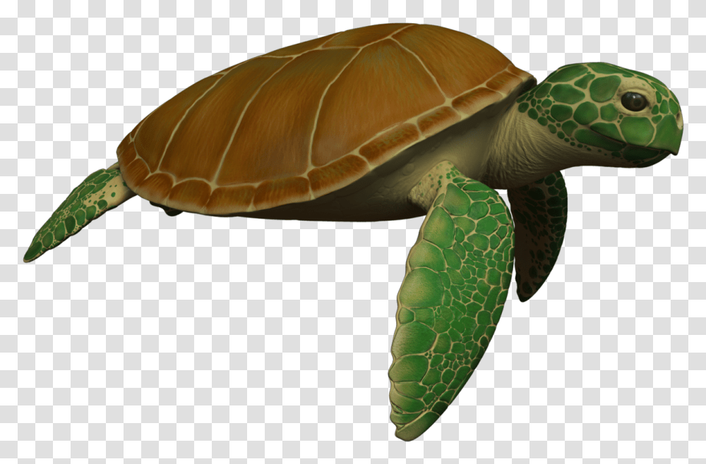 Animated Sea Turtle Wallpaper Iphone Sea Turtle Moving Moving Sea Turtle, Reptile, Sea Life, Animal, Tortoise Transparent Png
