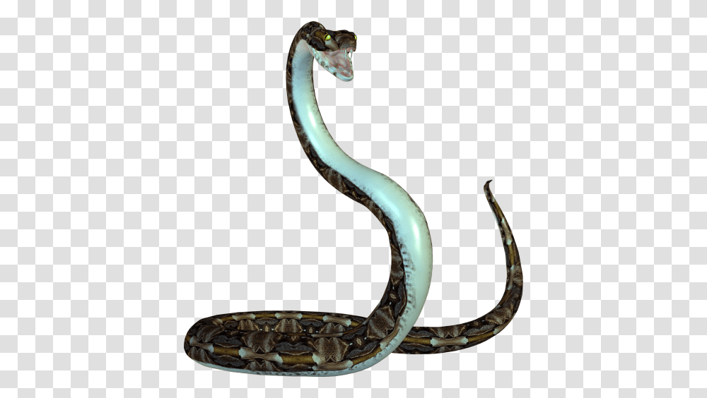 Animated Snake, Anaconda, Reptile, Animal, Cobra Transparent Png