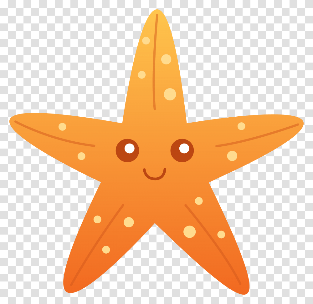 Animated Starfish Clipart Clip Art Images Transparent Png