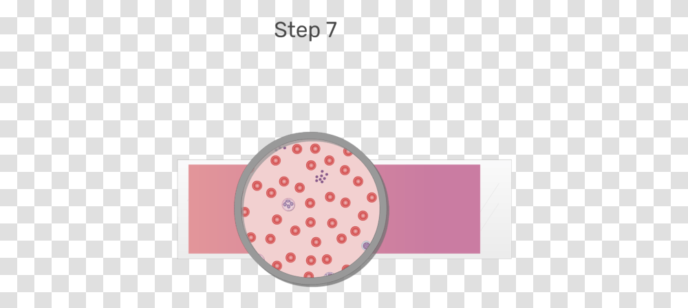 Animation Of Blood Cell Being Examined Under Microscope, Interior Design, Indoors, Texture, Polka Dot Transparent Png
