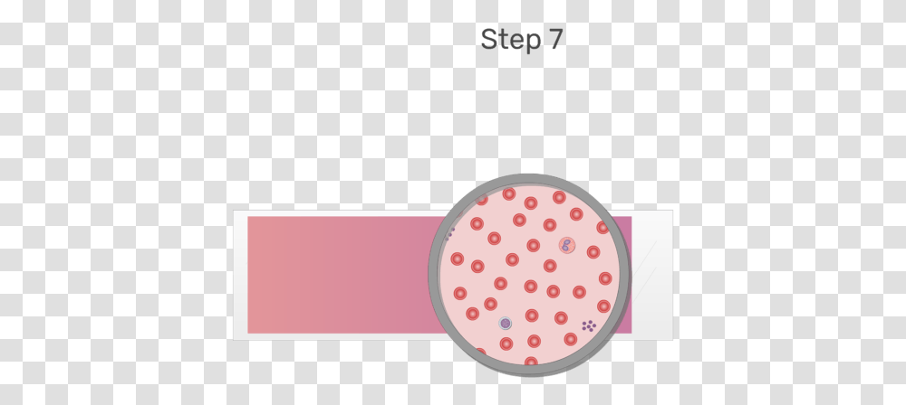 Animation Of Blood Cell Being Examined Under Microscope, Texture, Page Transparent Png