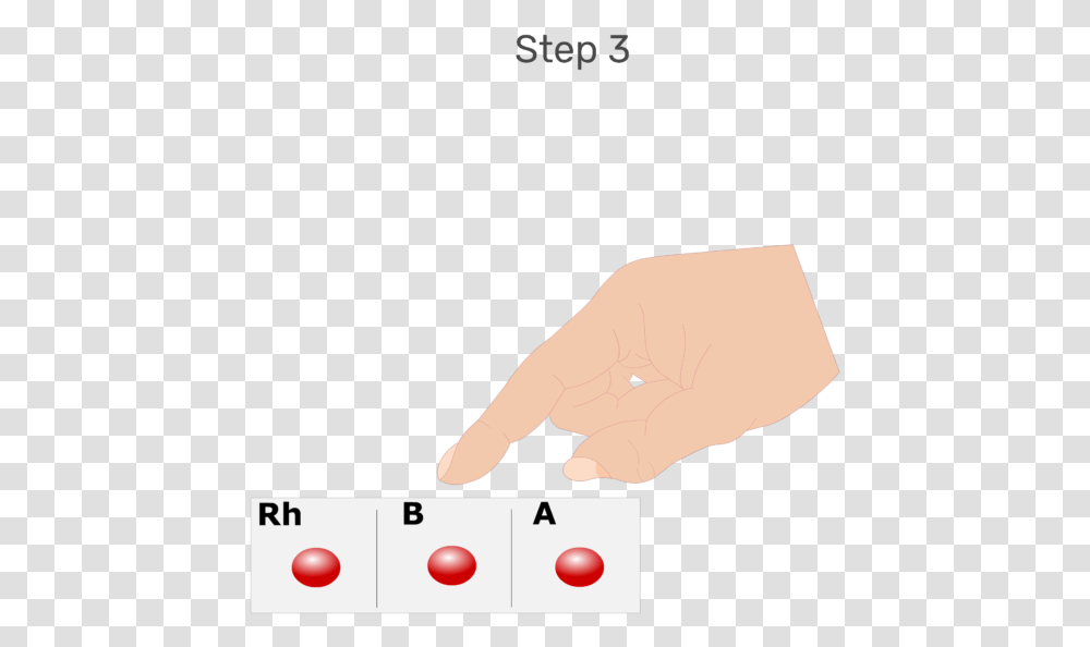 Animation Of Large Drops Of Blood Being Placed In Each Illustration, Plot, Plan, Diagram Transparent Png