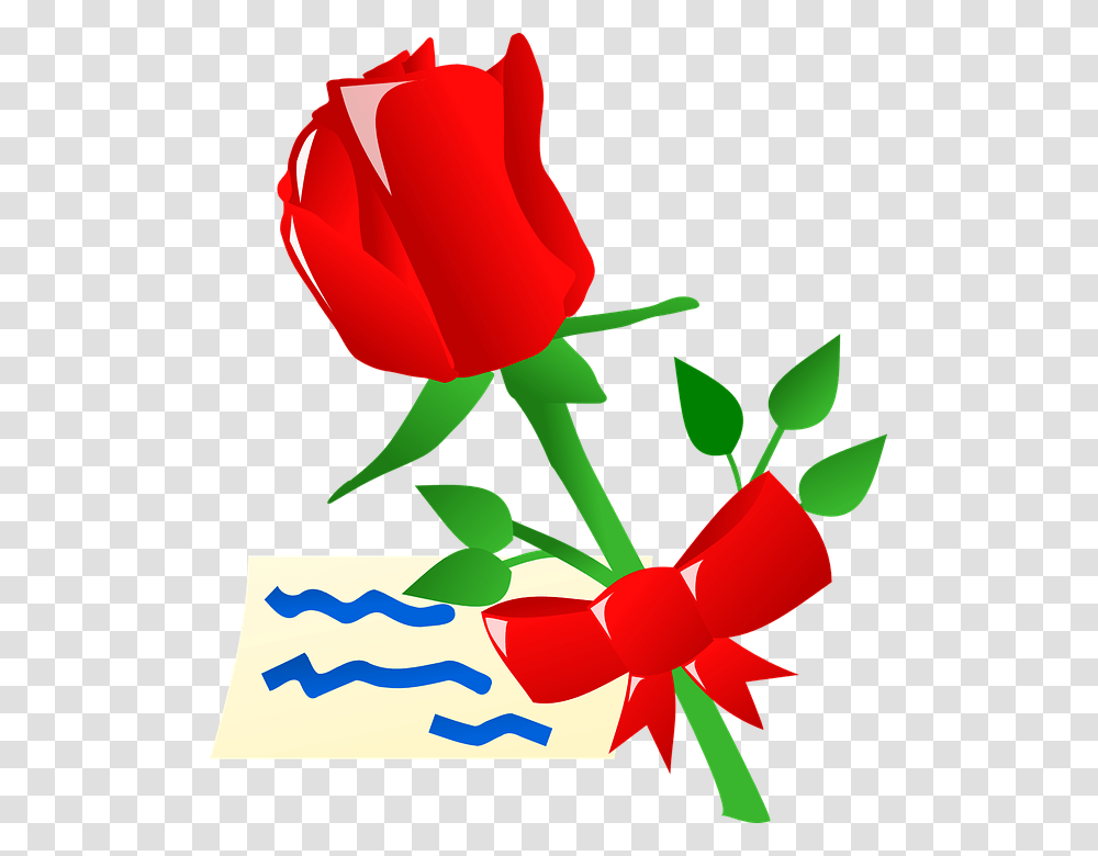 Animation Rose And Flowers, Plant, Blossom, Gift Transparent Png