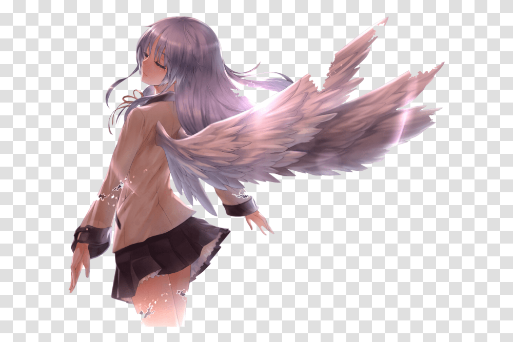 Anime Angel And Angel Beats Image Kanade Tachibana, Bird, Animal, Person Transparent Png