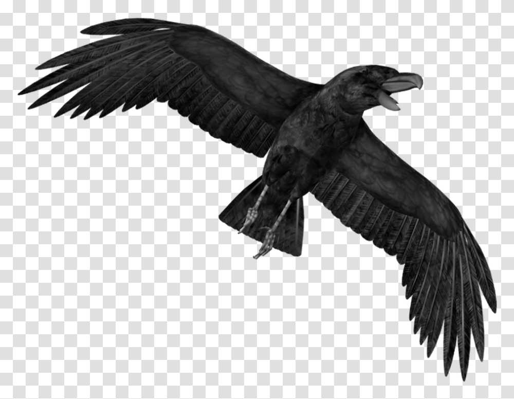 Anime Birds Crow, Animal, Vulture, Flying, Eagle Transparent Png