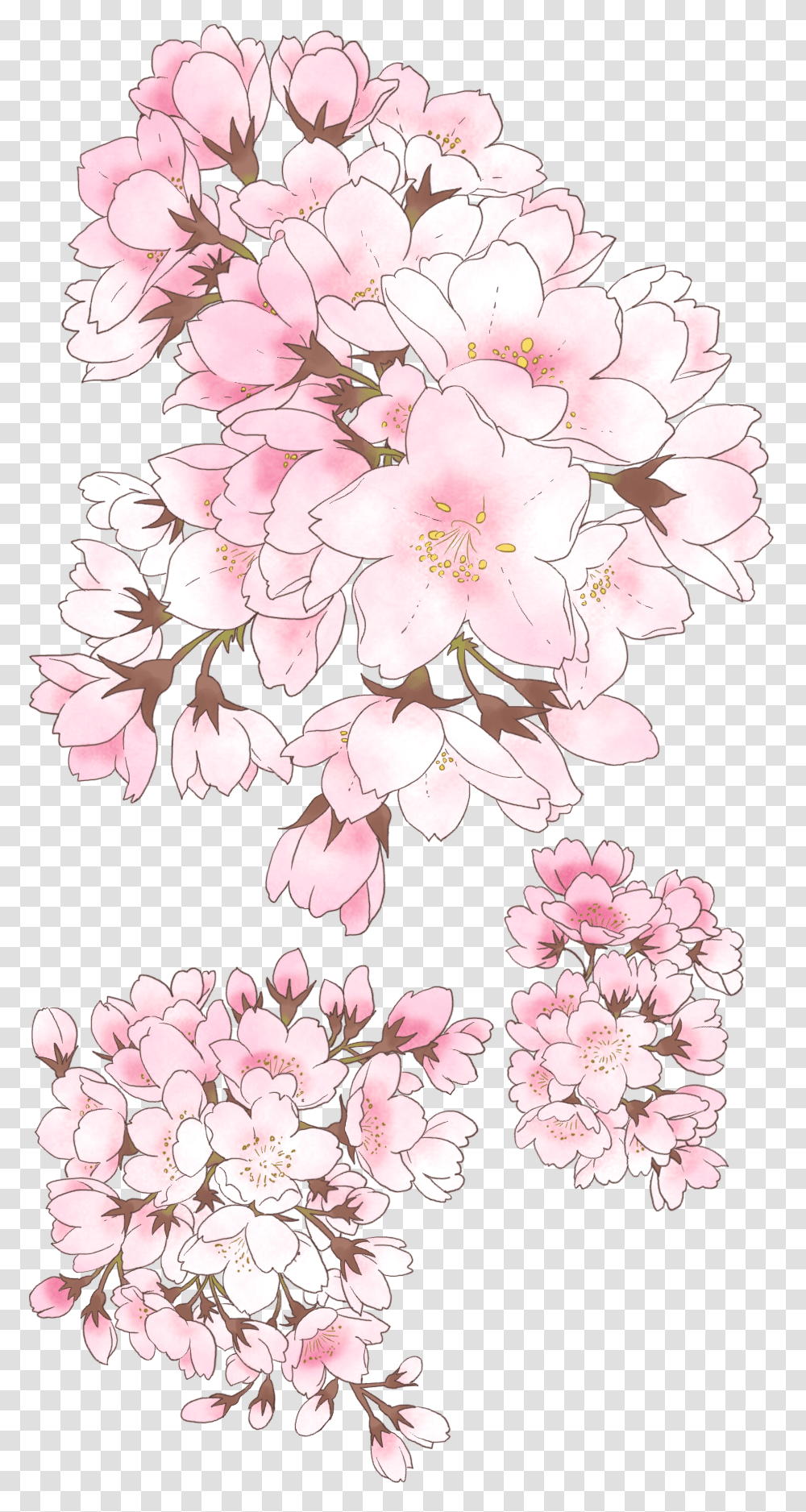 Anime Cherry Blossom Tree, Plant, Flower, Rug, Pineapple Transparent Png