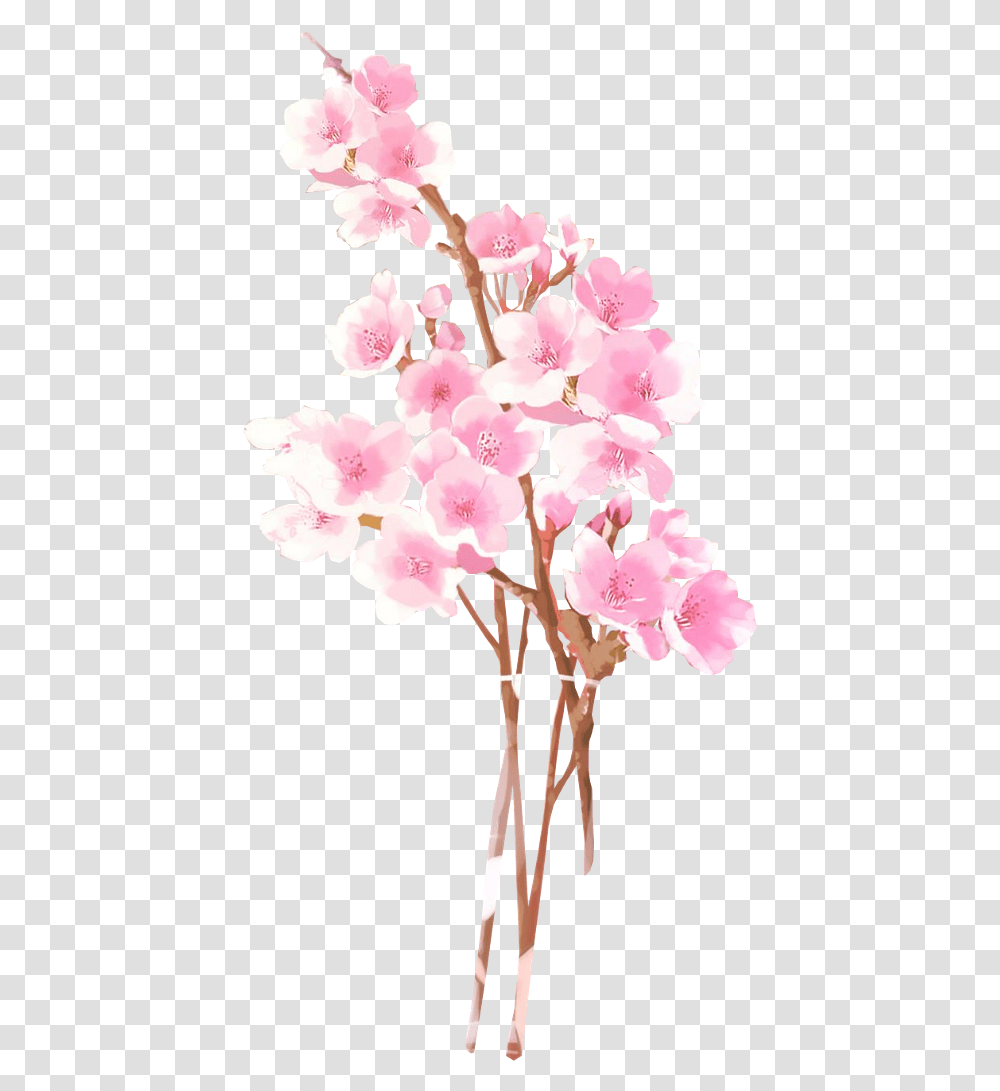 Anime Flowers Collections At Sccpre Anime Flowers, Plant, Blossom, Cherry Blossom, Orchid Transparent Png