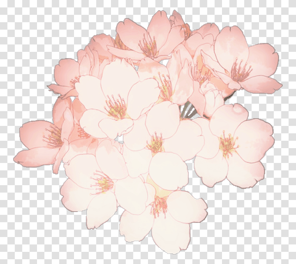 Anime Flowers Flower Aesthetic Tumblr Kpop Flower Drawing, Plant, Geranium, Blossom, Cherry Blossom Transparent Png
