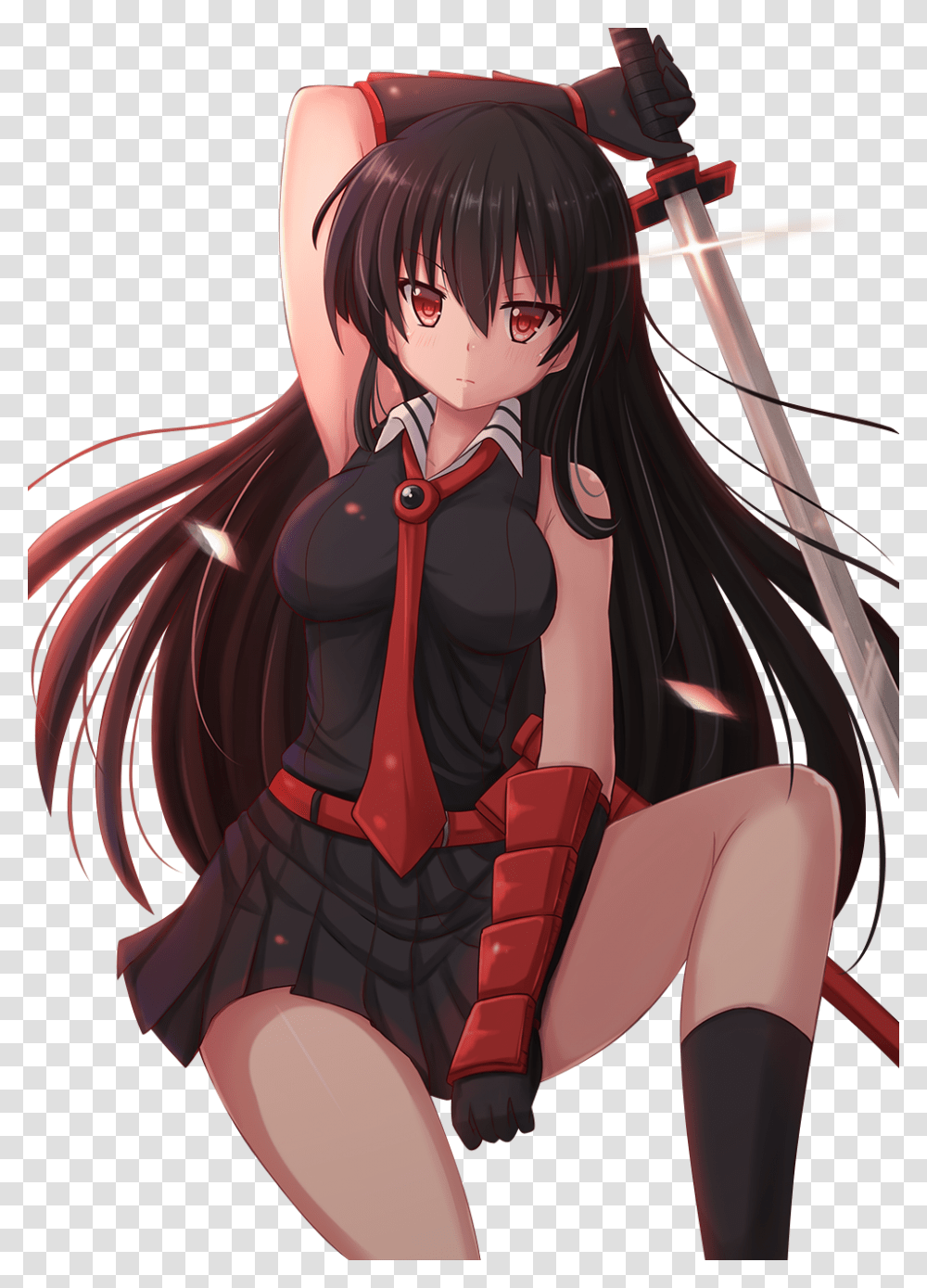 Anime Girl Akame Ga Kill, Comics, Book, Manga, Person Transparent Png