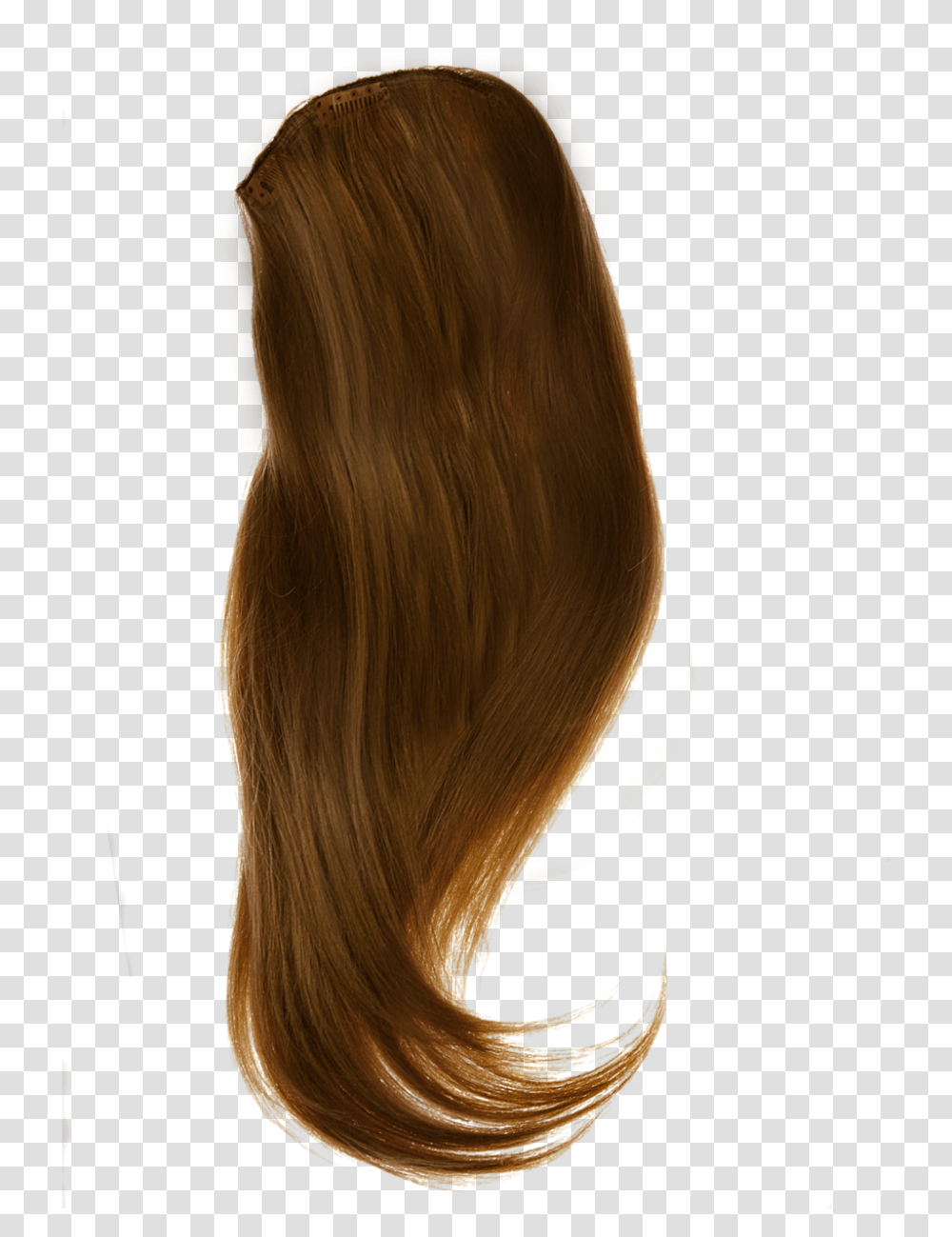 Anime Hair Long Front Hair, Wig, Person, Human Transparent Png