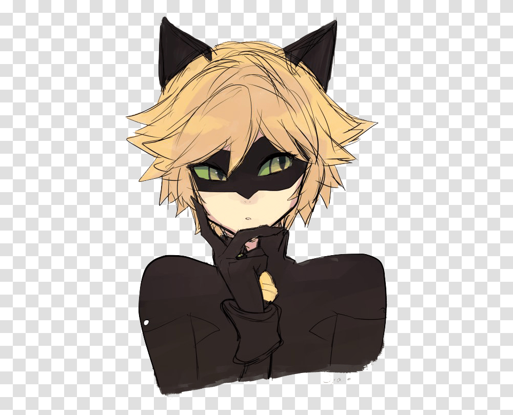 Anime Miraculous Cat Noir, Manga, Comics, Book, Horse Transparent Png