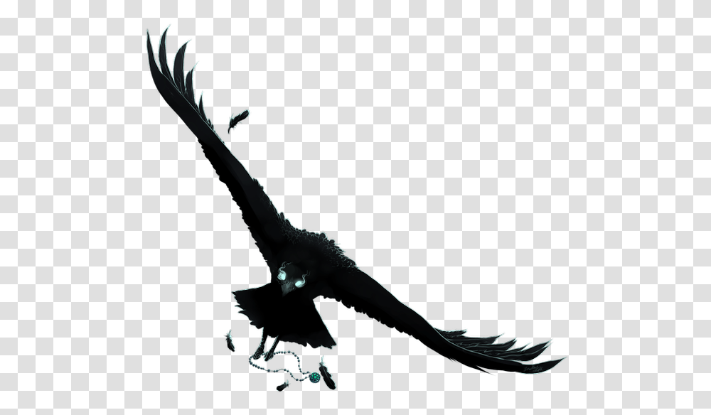 Anime Raven, Animal, Bird, Vulture, Condor Transparent Png