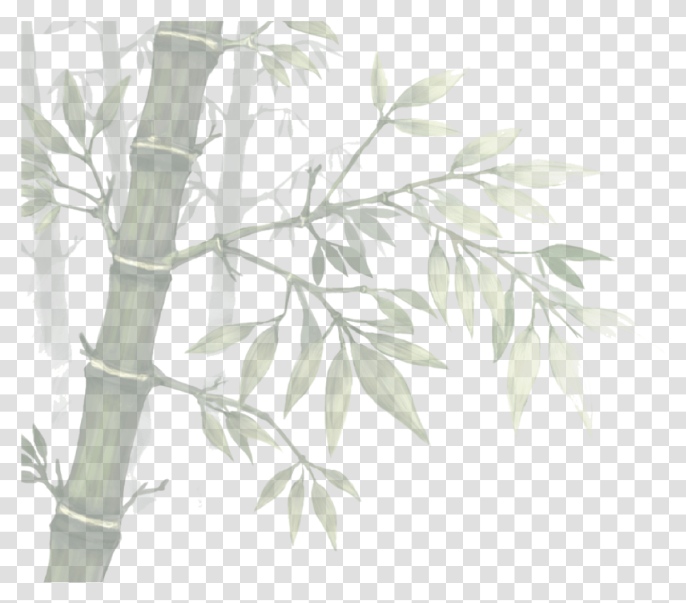 Anime Tree Branch, Plant, Bamboo Transparent Png