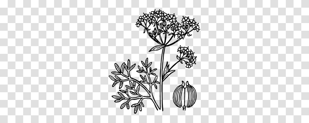 Anise Nature, Gray, World Of Warcraft Transparent Png