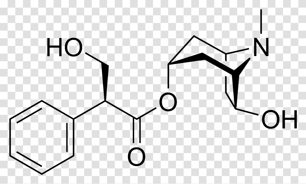 Anisodamine Chemical Structure Boc L Phenylalanine Methyl Ester, Gray, World Of Warcraft Transparent Png
