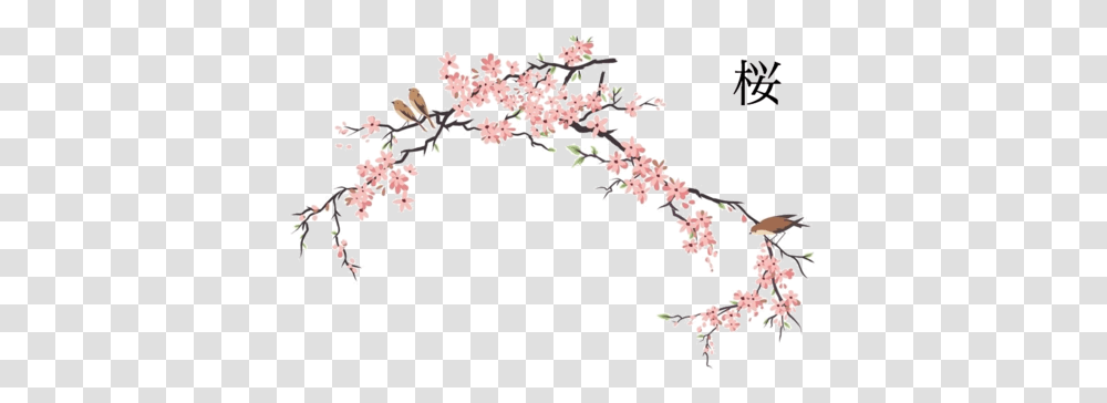 Anispacenet Namaniekoutei Cherry Blossom Drawing Watercolor Japanese Cherry Blossom Art, Plant, Flower Transparent Png