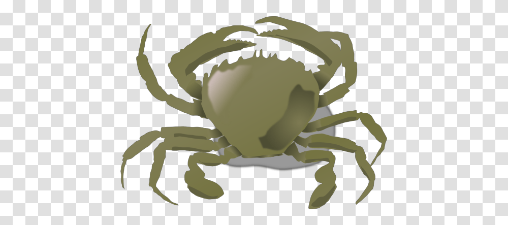 Annaleeblysse Blue Crab Svg Clip Animals Live Both In Land And Water, Seafood, Sea Life Transparent Png