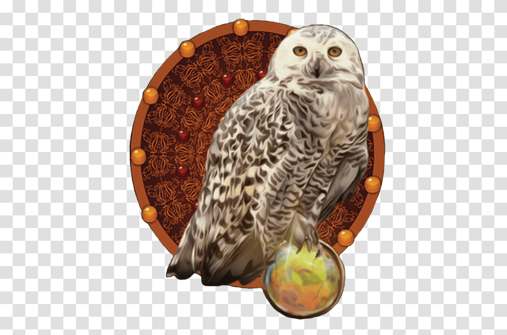 Annie Parnell Snowy Owl, Bird, Animal Transparent Png