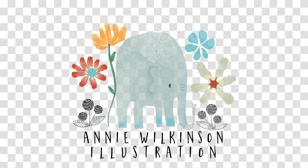 Annie Wilkinson Illustration African Daisy, Plant, Flower Transparent Png