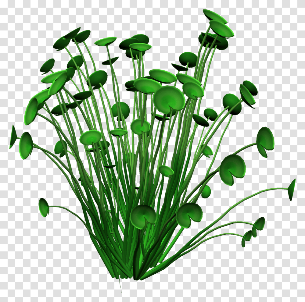 Anniversary Flower Cliparts, Green, Plant, Floral Design Transparent Png