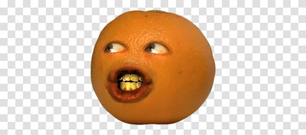 Annoying Orange Whatsapp Stickers Annoying Orange, Plant, Food, Fruit, Citrus Fruit Transparent Png