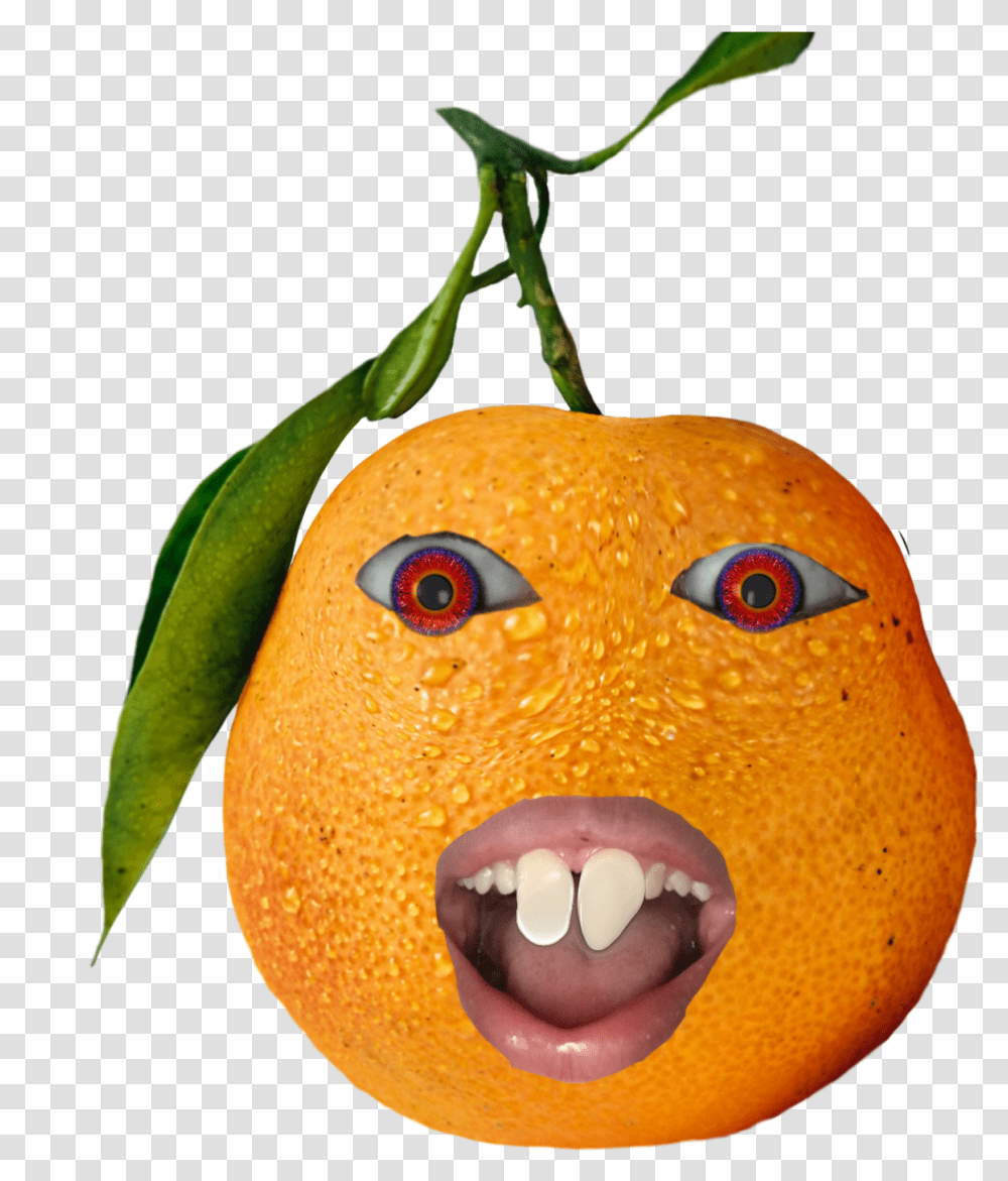Annoyingorange Annoying Sticker Clementine, Citrus Fruit, Plant, Food, Grapefruit Transparent Png