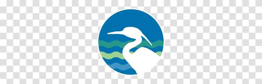 Annual Fund, Dolphin, Mammal, Sea Life, Animal Transparent Png