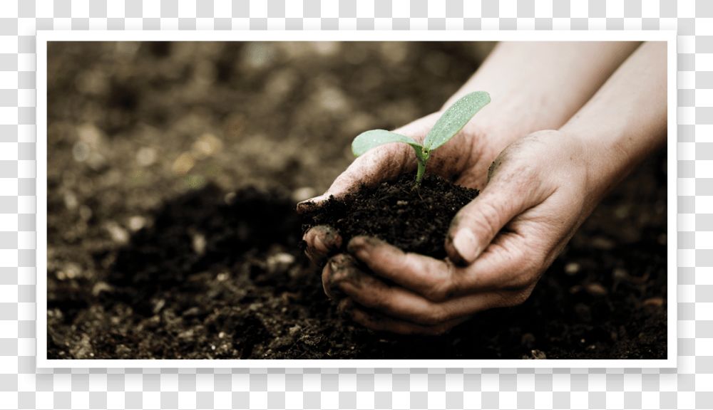Annual Giving, Soil, Person, Human, Outdoors Transparent Png