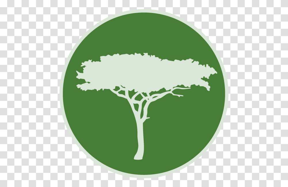 Annual Report 2019 - Maliasili Tree, Plant, Outdoors, Nature, Ice Transparent Png