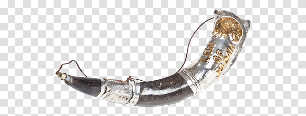 Anointing Shofar Archives Horn, Brass Section, Musical Instrument, Smoke Pipe, Bugle Transparent Png