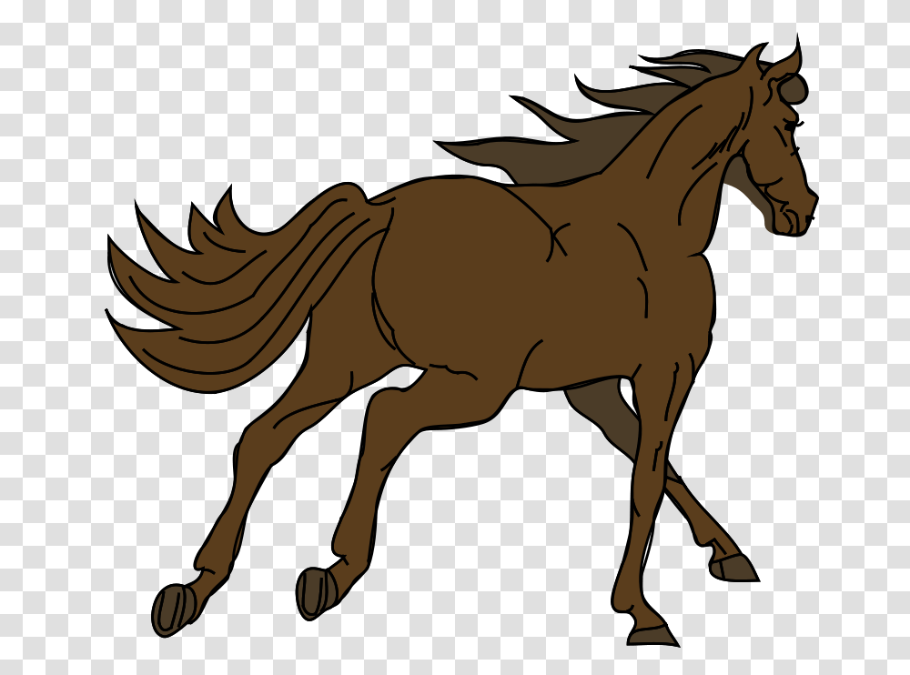 Anonymous Architetto Cavallo, Animals, Horse, Mammal, Warthog Transparent Png