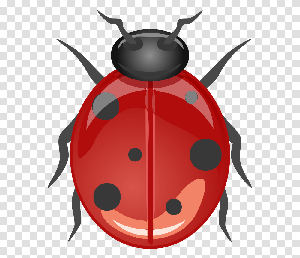 Anonymous Architetto Coccinella, Animals, Outdoors, Nature, Mountain Transparent Png
