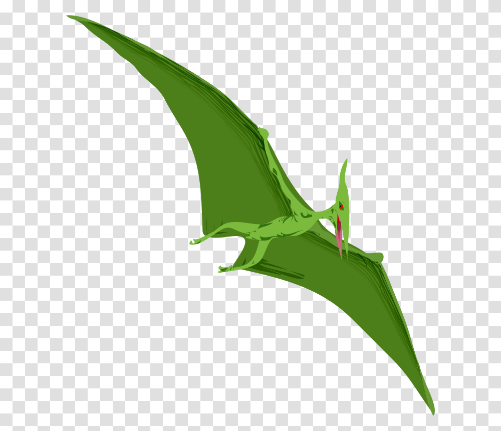 Anonymous Architetto Dino, Animals, Anole, Dragon, Bird Transparent Png
