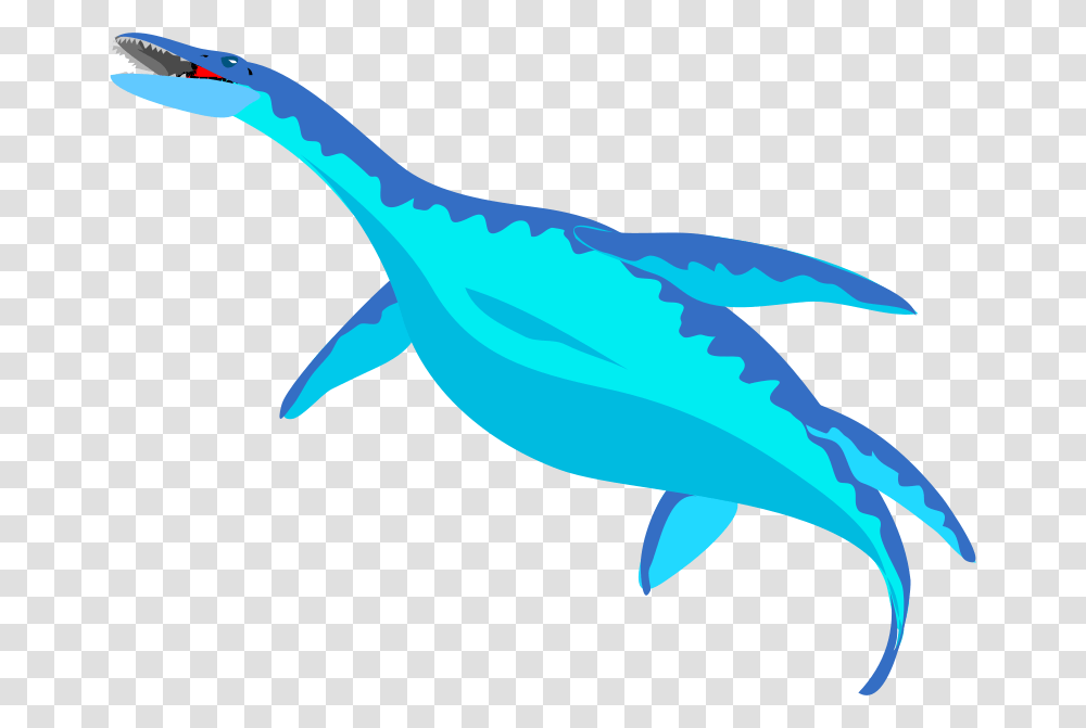 Anonymous Architetto Dinosauro, Animals, Sea Life, Mammal, Whale Transparent Png